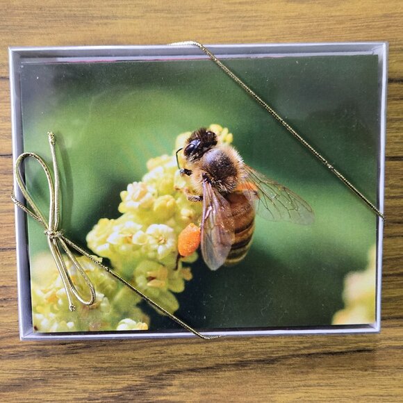 Five Boxes of Blank Notecards with Bees (12 to a box, 60 cards total) - Picture 6 of 11